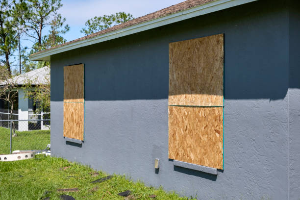 Best Siding Removal and Disposal  in Lake Mills, IA